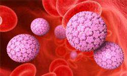 hpv and cancer rates cel mai bun unguent din recenzii papiloame
